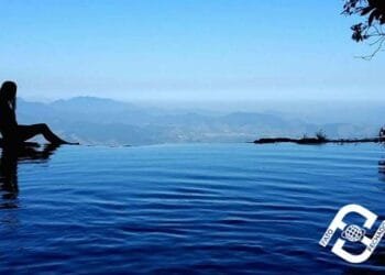 O QUINTAL DE BANANAL!