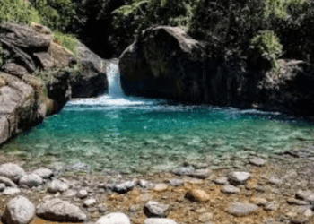 O QUINTAL DE LAVRINHAS