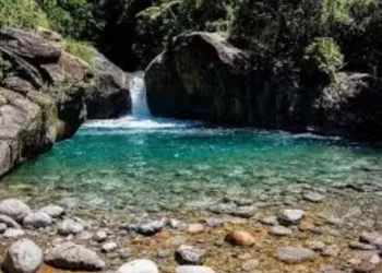 O QUINTAL DE LAVRINHAS