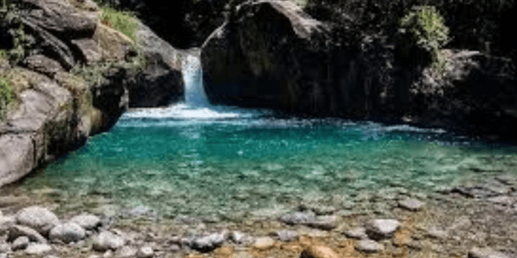 O QUINTAL DE LAVRINHAS