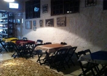 O QUINTAL DE SILVEIRAS