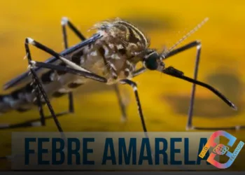  Vacina contra febre amarela em Taubaté