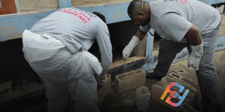 Prefeitura intensifica ações de controle de escorpiões no cemitério municipal