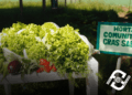 Cras Sabará realiza oficina de horta e cultivo