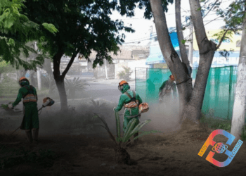 Prefeitura de Taubaté segue com ações de zeladoria