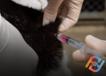 Bairro do Baronesa tem dia de vacinação antirrábica nesta quinta