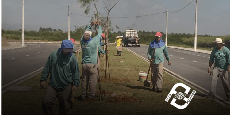 Prefeitura de Pinda realiza plantio de 59 árvores em Moreira César