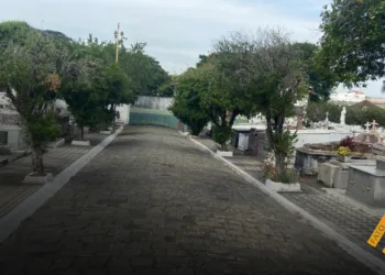 Prefeitura prioriza ações de zeladoria e rebate acusação de abandono no Cemitério Municipal