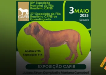 37ª Exposição Nacional do Fila Brasileiro de Guaratinguetá