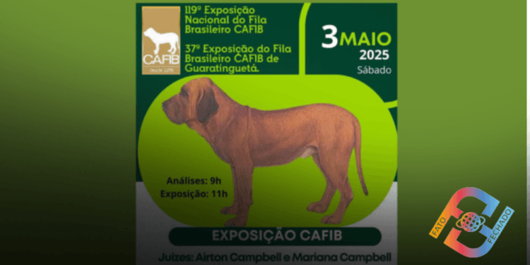 37ª Exposição Nacional do Fila Brasileiro de Guaratinguetá